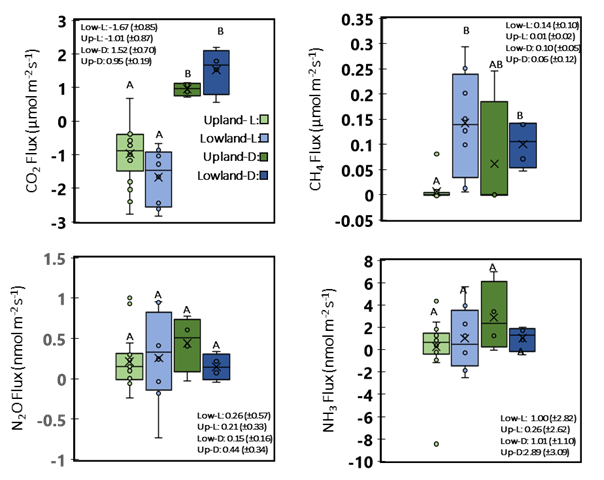 Box and whisker plot of gas flux measurements for CO2, CH4, N2O, and NH3.