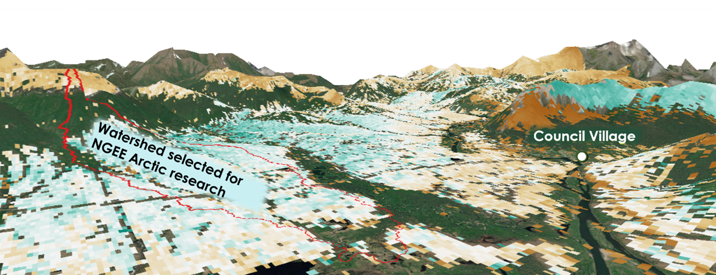 Map of predicted groupings of plant species (i.e., PFTs) across the Council 71 study site based on airborne synthetic aperture radar (SAR) imagery and machine-learning algorithms. Image credit: Daryl Yang. 
