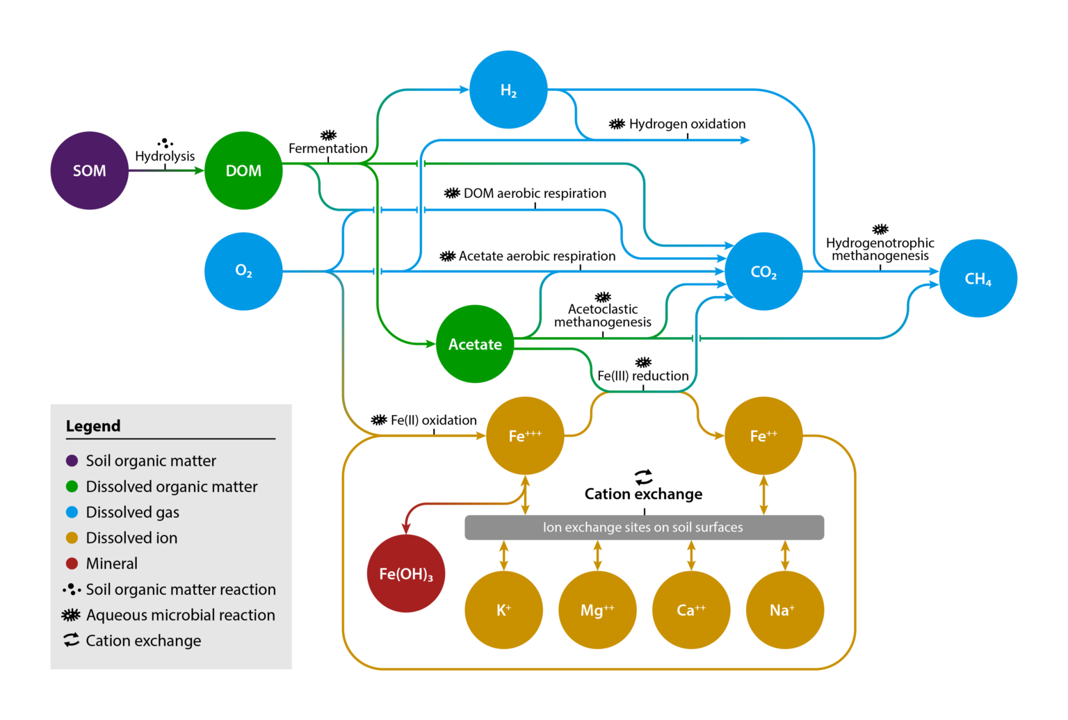 Diagram of the chemical reaction network used to simulate carbon-iron interactions.