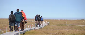 a group of people walking across a grass covered field