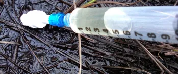 a plastic tube with a blue cap on it