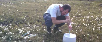 a man kneeling down in a field of flowers