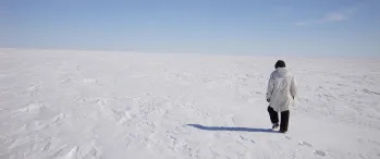 Barrow Environmental Observatory (BEO) in winter