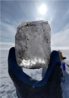 Picture of an ice core sampled from the Barrow Environmental Observatory to study microbial life.