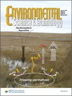  A cover for the journal of Environmental Science & Technology