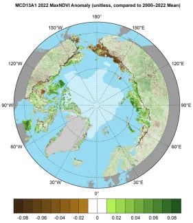 . Circumpolar MaxNDVI anomalies for the 2022 growing season relative to mean values (2000–2022) from the MODIS MCD13A1 v6.1 data set. The 2022 minimum sea ice extent is indicated by light shading.