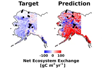 Present-day net ecosystem exchange is shown across Alaska for the simulated data (left) and ML predictions (right), revealing very  large discrepancies in the predictions. Black dots denote locations of sites used to train the machine learning model.